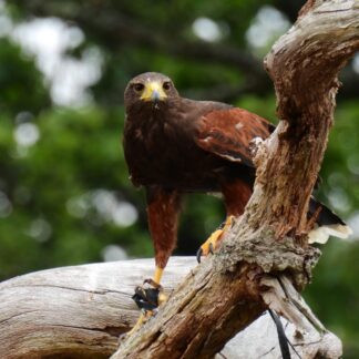 Test your knowledge (free!)