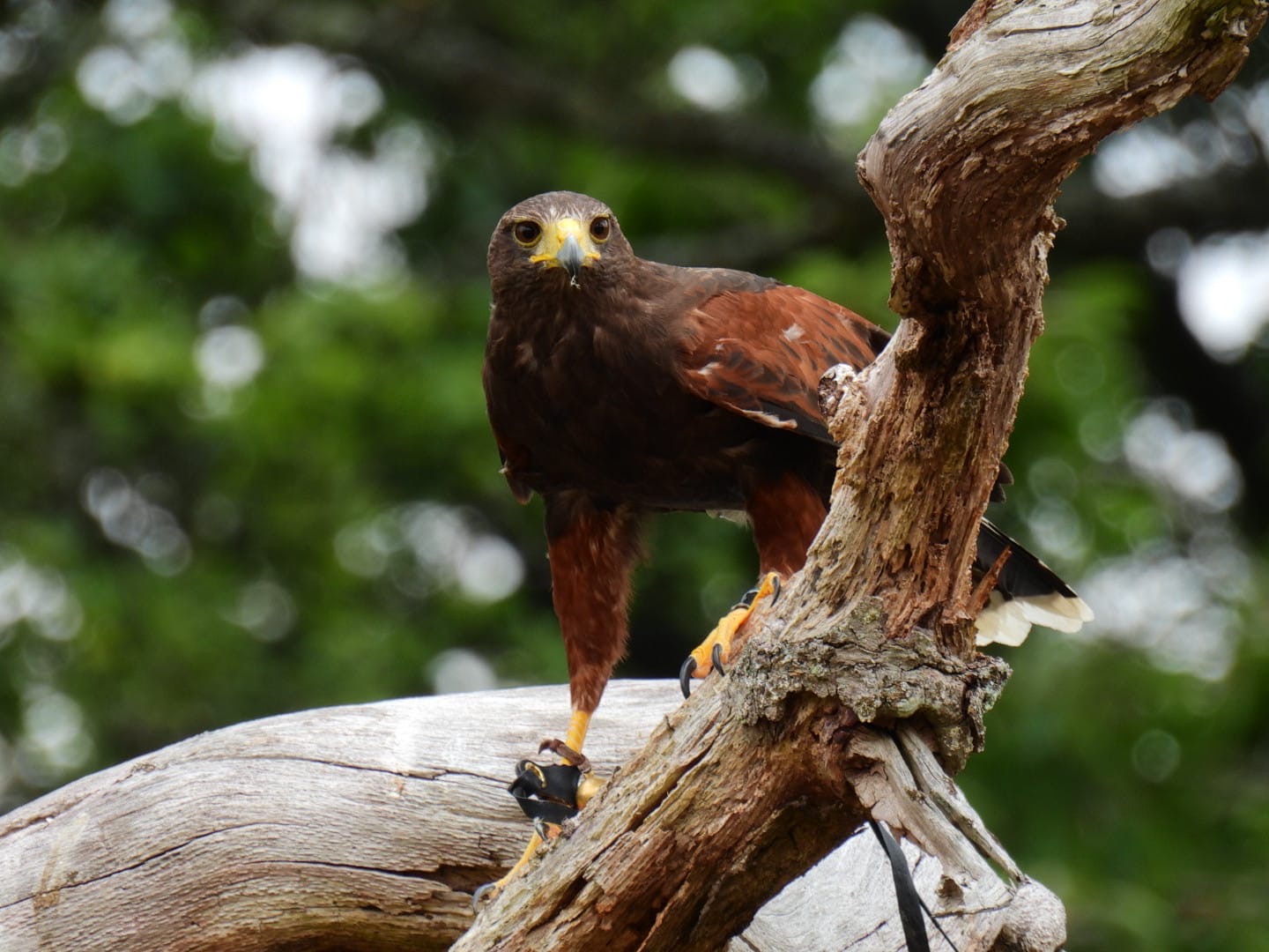 Test your knowledge (free!)